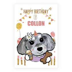 COLLON