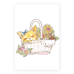 「おきにいり」