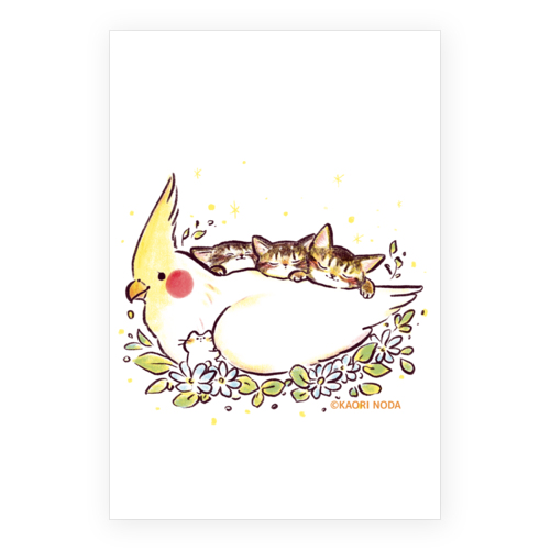 「ココチヨイ」