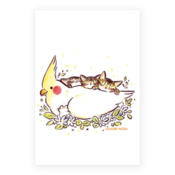 「ココチヨイ」