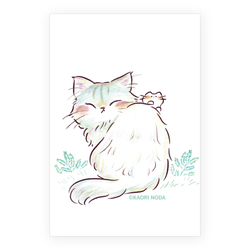 「こっち向いて」