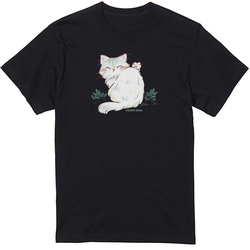 「こっち向いて」