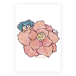 「とびきりの」