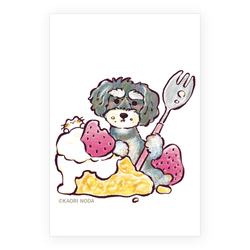 「サプライズ」