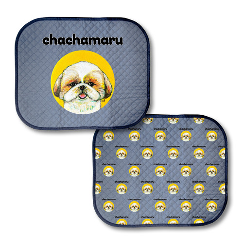 NO.8 chachamaru