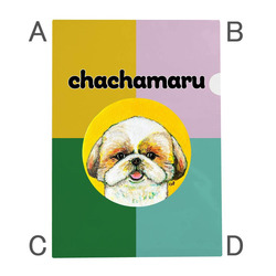 NO.8 chachamaru