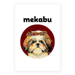 NO.6 mekabu