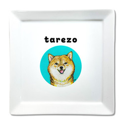 NO.4 tarezo