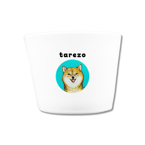 NO.4 tarezo