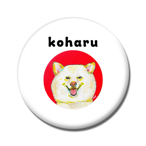 NO.1 koharu