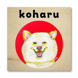 NO.1 koharu