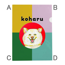 NO.1 koharu