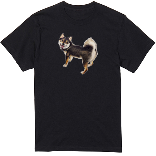 ここ柴コラボ企画11