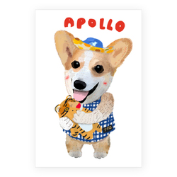 APOLLO