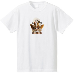 kohaku yumemaru nico