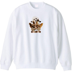 kohaku yumemaru nico