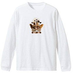 kohaku yumemaru nico