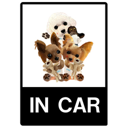 kohaku yumemaru nico