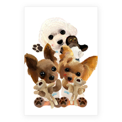 kohaku yumemaru nico