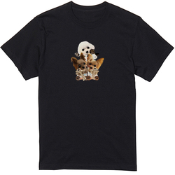 kohaku yumemaru nico