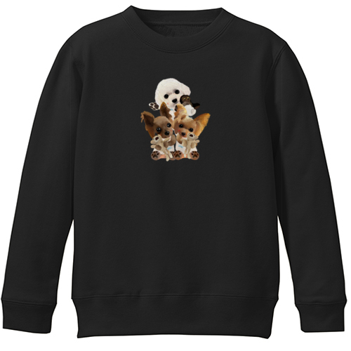 kohaku yumemaru nico