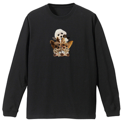 kohaku yumemaru nico