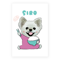 SIRO
