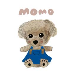 momo