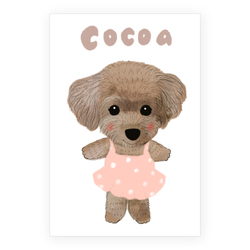 cocoa