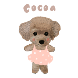 cocoa