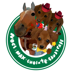 noel max candy chocholat