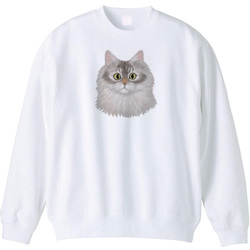 はくたちひろコラボ企画1