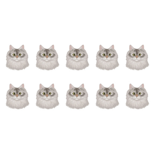 はくたちひろコラボ企画1