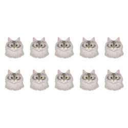 はくたちひろコラボ企画1