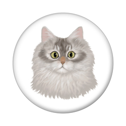 はくたちひろコラボ企画1