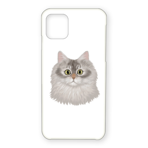 はくたちひろコラボ企画1