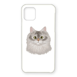 はくたちひろコラボ企画1