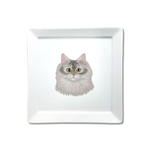 はくたちひろコラボ企画1