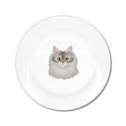 はくたちひろコラボ企画1