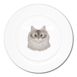 はくたちひろコラボ企画1