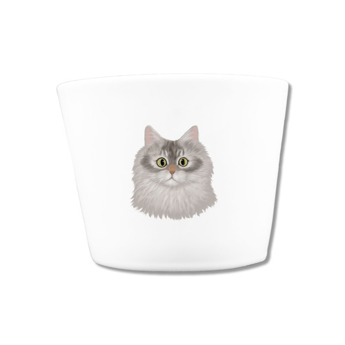 はくたちひろコラボ企画1