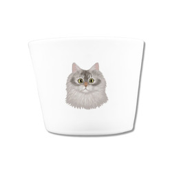 はくたちひろコラボ企画1