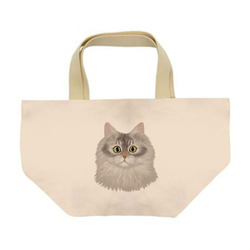 はくたちひろコラボ企画1