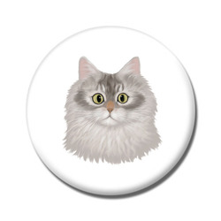 はくたちひろコラボ企画1