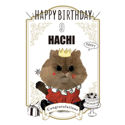 HACHI