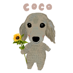 coco