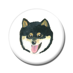 chimaコラボ企画1