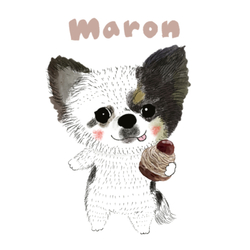 MARON