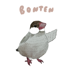 bonten