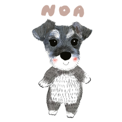 NOA